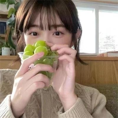 向往的生活老友记